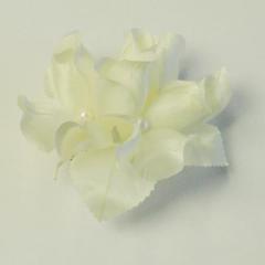 *cp*t[RT[W@R722zCgiP[Xj