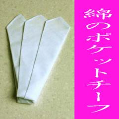 ���n�̖�100���̃|�P�b�g�`�[�t�@�q�Q�Q�W