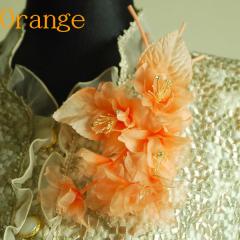 cp t[RT[WiIWjFC160-OR TUJ̋iP[XjyEIEƎEwElz F 