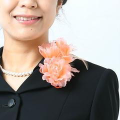 *cp*t[RT[WiIWEp[vEsNjFSW212213214 iP[XjyEIEƎEwEl