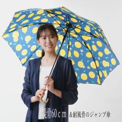 p P8{̃WvmP@60cmϕ@F@CG[Eu[@MJ17740 fB[X JP