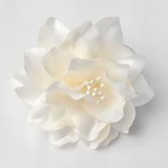 cp t[RT[W :R655 iP[XjyEIEƎEwElzy[֕sz fB[X wl 