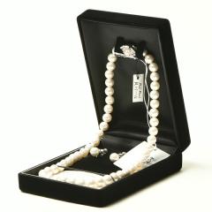 tH[}p A Lp[lbNXƃCO RZ-140 ItzCg { P[XtfB[X wlp   V 