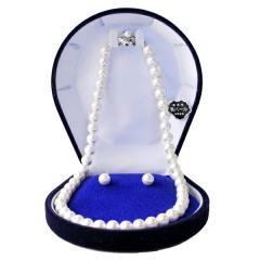 tH[}p ̊Lp[8mm AlbNXtbNsAX FKA022W40SHyzCgzi40cmjP[Xt fB[X w