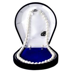 tH[}p r[YNXvLp[8mm AOlbNXsAX FKA043-8W45SPbeansyzCgzi45cmjP[Xt