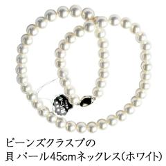 tH[}p r[YNXv Lp[8mm AOlbNX FKA211-8W45beansyzCgzi45cmjP[XȂylR|X