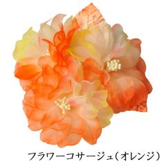 *cp*t[RT[WiIWjFSW232 iP[XjyEIEƎEwElzy[֕sz