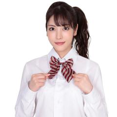 &T Collection �������X�N�[�����{�� �_�[�N���b�h���W�����^���X�g���C�v  �R�X�v�� ���{�� ���q���� jk ������� ���� �R�X�v����