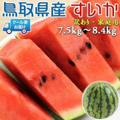 ���挧�Y �X�C�J 7.5kg�`8.4kg ������ �󂠂� ���挧�Y ���Z�y�N�[���֎w��z��� 1�� �󂠂� �ƒ�p �i�{�[��������y���挧�Y���Z�z��