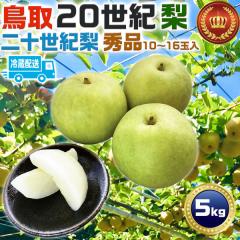 ���� �� 20���I�� �y�N�[���֎w��z�G�i 5kg 10�`16�ʓ� ������� ���挧�Y  ��\���I�� �ƒ�����M�t�g �x�߂̂������y�o�ד����C���z��