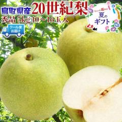 ���挧�Y �� �G�i  20���I�� 5kg 10�`16�ʓ� �����p�y�N�[���֎w��z�� �x�߂̉ăM�t�g�E�x��Ă��߂�˂������E�h�V�̓��E�M�t�g