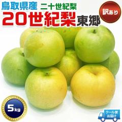 20���I �� ���� �󂠂� ���挧�Y ��\���I ��5kg�y�N�[���֎w��z����u�����h ���ƒ�p �ƒ�p�M�t�g2025�N9�����{�ȍ~�̏o�ח\��
