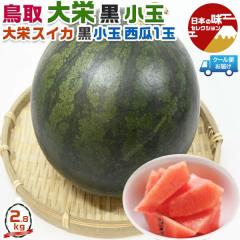 ���� ��h������ ��h ������ ���Z 3L�T�C�Y 1�ʓ� 2.8kg�y�N�[���֎w��z�i�{�[��������y���x�����ς݁E���挧�Y���Z�z�h�V�̓��E�x��
