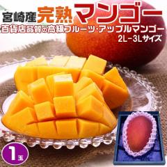 �{��}���S�[ �{�� ���n�}���S�[ 2L-3L�T�C�Y 1���i���n�A�b�v���}���S�[�j�M�t�g �����ʕ� �󏭃t���[�c ���� �v���[���g �����p ����