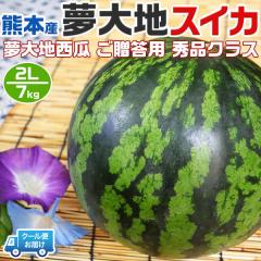  �F�{�Y ����n ������ �G�i 2L�T�C�Y 7kg 1�ʓ� �y�N�[���֎w��z �F�{���Y���Z �����p ��̓� ���̓� �v���[���g �t���[�c �ʕ� ������