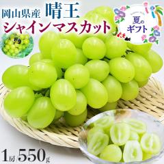 �Ԃǂ� ���R���Y ���� �V���C���}�X�J�b�g �V���C�� 550g 1�[ �����x �󏭕i�� �}�X�J�b�g �x��Ă��߂�� �������E�h�V�̓��E�ƒ�p�E�M