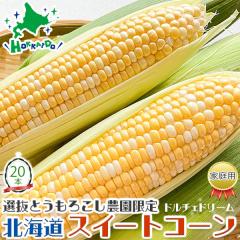 ������ �X�C�[�g�R�[�� �k�C�� �Y �Ƃ����낱�� �h���`�F �h���[�� (�o�C�J���[) 20�{�Z�b�g(10�{���蔠�~2��) �l�C�i�� �k�C������Y�n