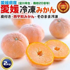 �Ⓚ�݂��� ���Q�݂��� ����i���F�a�݂���j 2kg 20�`50���x ���F�a�~�J���F�{�쑁���E�승20�����g�p�i�����l�݂���j�b���������g