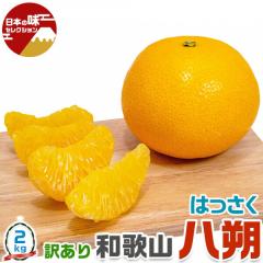 ���� �a�̎R �͂����� 2kg �󂠂� M�`3L�T�C�Y���� �_���E���Y�҂���o�� �y�o�ד����C���E�w����s�z�o�����^�C�� �ʕ� ���k ���� �t