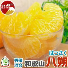 ���� �a�̎R �͂����� 10kg �G�D����(�󂠂荞��) M�`3L�T�C�Y���� �_���E���Y�҂���o�� �y�o�ד����C���E�w����s�z�o�����^�C�� ��