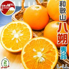 ���� �a�̎R �͂����� 2kg �G�i L�`LL�T�C�Y���� �_���E���Y�҂���o�� �y�o�ד����C���E�w����s�z�o�����^�C�� �ʕ� ���k ���� �t��