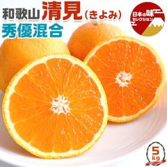 �a�̎R ���� �I�����W 5kg �G�D����(�󂠂荞��) M�`3L�T�C�Y���� ����� �^���S�[�� �i�� �_���E���Y�҂���o�� �y�o�ד����C���E�w���