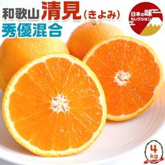 �a�̎R ���� �I�����W 4kg �G�D����(�󂠂荞��) M�`3L�T�C�Y���� ����� �^���S�[�� �i�� �_���E���Y�҂���o�� �y�o�ד����C���E�w���