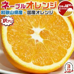  �a�̎R �l�[�u�� �I�����W 3kg �󂠂� M�`3L�T�C�Y���� ���Y �_���E���Y�҂���o�� �y�o�ד����C���E�w����s�z�I�B �o�����^�C�� ��