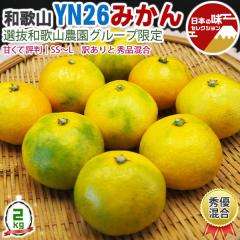 �݂��� YN26 2kg �G�D���� (�󂠂�G�iMIX�ł�����) SS�`L�T�C�Y���� ���� �a�̎R���Y �Â��ĕ]�� �Y�n���� �_�� ���Y�҂���o�� �C��s