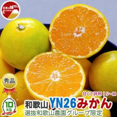 �݂��� YN26 10kg �G�i S�`M�T�C�Y ���C�� ���� �a�̎R���Y �Â��ĕ]�� �Y�n���� �_�� ���Y�҂���o�� �C��s���Ò�����y�o�ד����C���E
