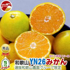 �݂��� YN26 5kg �G�i S�`M�T�C�Y ���C�� ���� �a�̎R���Y �Â��ĕ]�� �Y�n���� �_�� ���Y�҂���o�� �C��s���Ò�����y�o�ד����C���E