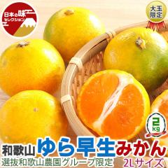 ��� ��瑁�� �݂��� �R�Ǒ��� 2kg 2L�T�C�Y �a�̎R���Y �Â��ĕ]�� �Y�n���� �_�� ���Y�҂���o�� �C��s���Ò�����y�o�ד����C���E�w