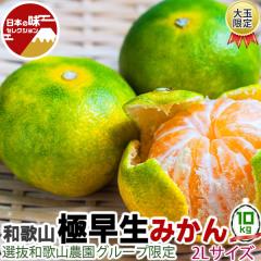 ��� �ɑ��� �݂��� 10kg 2L�T�C�Y �a�̎R���Y  �Y�n���� �_�� ���Y�҂���o�� �C��s���Ò�����y�o�ד����C���E�w����s�z �h�V�̓� 