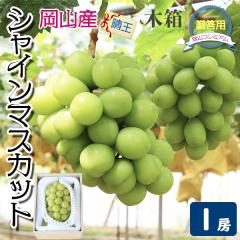 ������ �ăM�t�g �嗱 �V���C���}�X�J�b�g ���� 1�[ 650g�y�����I�z�ؔ����� ���R���Y ��Ȃ� �����p �Ԃǂ��E�S�ݓX�i���E�t���[�c �ʕ�