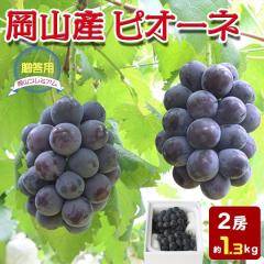 �ăM�t�g �s�I�[�l 2�[ ��1.3kg�y�������z ���R���Y �Ԃǂ� �嗱�A��Ȃ� �����p ���ϔ��E�S�ݓX�i���E�������E�M�t�g