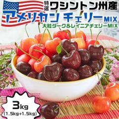 ������ ���V���g���B�Y ���� �A�����J���`�F���[ MIX�y3kg�z�H�ה�� �嗱�_�[�N&���C�j�A MIX ����嗱 �������� ���[�j�A�� �r���O��