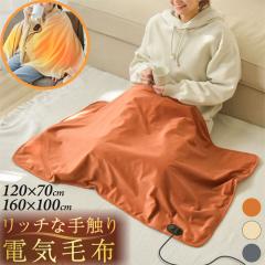 �d�C�ѕz �|���~�� 120x70cm 160x100cm �Ђ��|�� �d�C�u�����P�b�g �V���[�� 3�i�K���x �R�ۖh�L �_�j�ގ� �d�C�Ђ��|�� ����ѕz ���|��