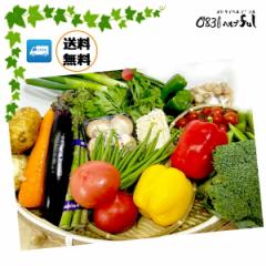 (定期便)新鮮【九州野菜セット10品】+おまけのお野菜4〜7品 野菜セット 野菜詰め合わせ 通販