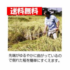 yQ{gzN_ A~pCv  _ c 䕗 J RoC n  2m