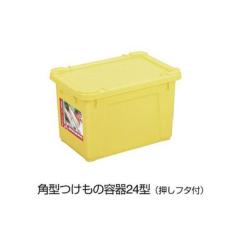 g{@p^̒M@24^@25L@t^tyFwsz