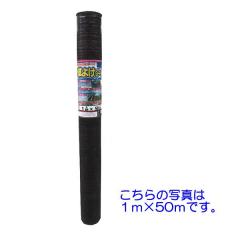VZC@悯V[g@ϗpN2`3N@2m~100m@h@