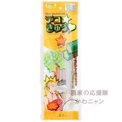 �J�l�R��c�@�f�R���イ�@���^�P�{�@�L���E���̌^