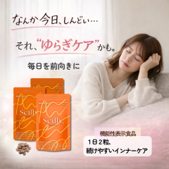 �t�F���P�A�T�v�� Seilly �Z�C���[ �@�\���\���H�i 30���� �R�� �R������ ���o�O �ꎞ�I�Ȑ���Ȃ��C�� �����̎��i�N�����������j�T�|�[