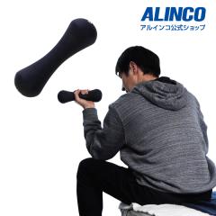 �y�_���x���z WBN304NA �m���X���b�v�_���x�� 3.0kg �_���x�� �؃g�� �ؓ� �g���[�j���O�W�� �E�G�C�g�g���[�j���O �A���C���R