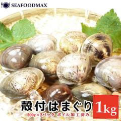 �͂܂��� �� �n�}�O�� �k�t�͂܂��� �P���� �i500g�~�QP�j�k�T�C�Y 10�`15�� �i�����j�y���������z �E�k�t�͂܂���k�y�QP�z�E