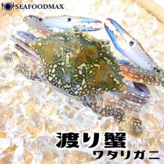 ���^���K�j 100g�T�C�Y 10�t�Z�b�g �킽��I �n��I ���E���h ���^���K�j�p�y���������z�� �݂��`�E�n��I10�t�E