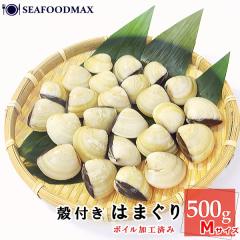 �͂܂��� �� �k�t�n�}�O��  500g  M�T�C�Y�i��20�`30����j�{�C�����H �n�}�O�� �k�tBBQ �o�[�x�L���[�E�k�t�͂܂���yM�z�E