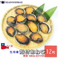 ����� � �h�g ���H�p 1kg  12������ �����˃A���r �Ⓚ �`���Y �k�t ���h���g �o�^�[�Ă� �A���r BBQ �E�k�t�����12���E