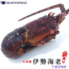 �ɐ��C�V �������� �C�Z�G�r ��t���Y ���Ⓚ ��300g-400g �󂠂� ���M�p ���� �� ���� �G�r �C�V BBQ �E�ɐ��C�V�E