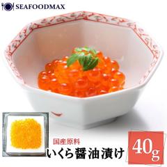 ������ �ݖ��Ђ� 40g �k�C���Y �C�N�� ���� ���� �C�N �M�t�g�E������ݖ�40g�E